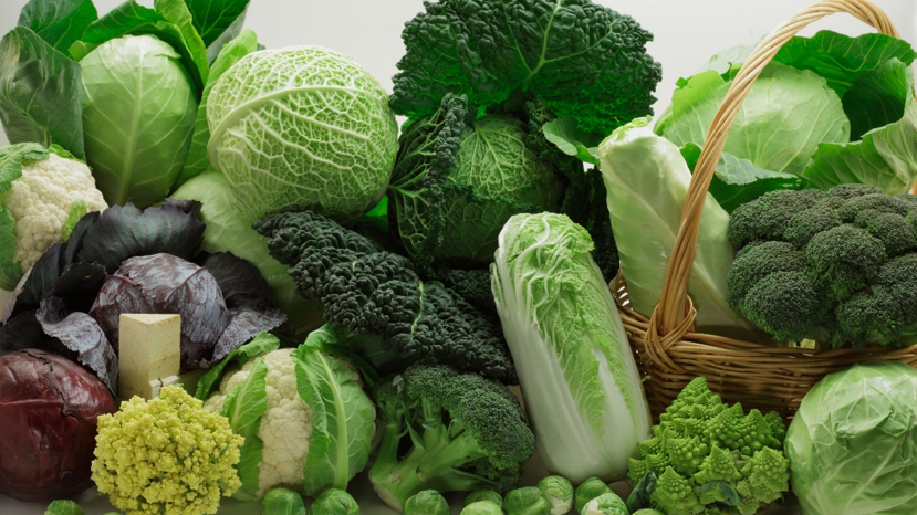 Beatriz jasmonico atenas